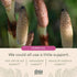 Gaia Herbs Hair, Skin & Nail Support - Helps Promote Healthy Skin, Hair Growth & Nail Growth - with Horsetail, Alfalfa, Burdock, Gotu Kola & Nettl...