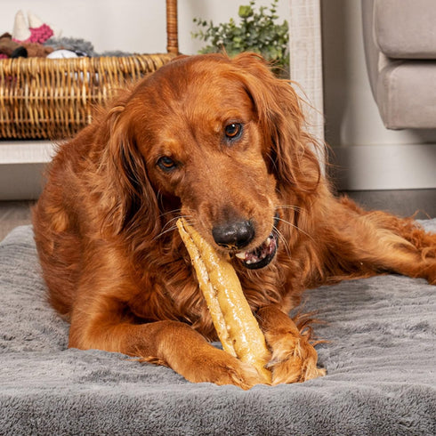 Pet Factory CareChewz Collagen +Plus 9" Rovers Dog Chew Treats - Chicken Flavor, 3 Count/1 Pack...