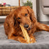 Pet Factory CareChewz Collagen +Plus 9" Rovers Dog Chew Treats - Chicken Flavor, 3 Count/1 Pack...