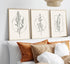 ZJJARTYB Farmhouse Beige Canvas Wall Art Retro Floral Line Pictures Minimalist Botanical Posters Neutral Prints Boho Artwork Simple Painting Wall ...