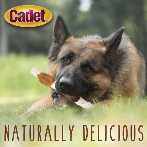 Cadet Gourmet Shish Kabob Dog Treats for Large Dogs, Healthy & Natural Chicken & Sweet Potato Chew Sticks, Beef Hide, Extra Large 10 Inch, 4 Count...