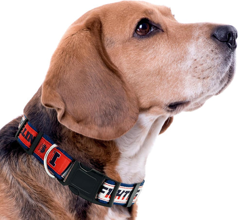 NCAA PET Collar Illinois Fighting Illini Dog Collar, Large Collegiate Team Collar for Dogs & Cats. A Sporty, Shiny & Colorful Cat Collar & Dog Col...