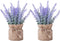 2 Pack Small Burlap Potted Lavender Flowers - Lavender Artificial Plants and Flocked Charming Purple for Warm and Loving Table Decor Christmas Dec...