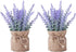2 Pack Small Burlap Potted Lavender Flowers - Lavender Artificial Plants and Flocked Charming Purple for Warm and Loving Table Decor Christmas Dec...
