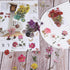 160pcs Pressed Flower Themed Stickers Dried Flowers Stickers Scrapbook Stickers for Making Junk Journal Card Making DIY Crafts...