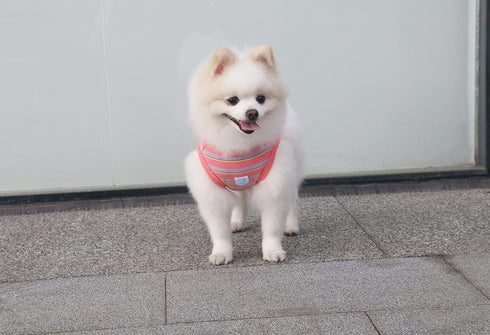 Striped Teacup Pet Dog T-Shirts, 100% Cotton Tank Vest for Small Dogs and Cats, Sleeveless Puppy Clothes for Chihuahua Yorkie Pink, 2X-Small...