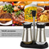 Evelyne 2-Piece Set Salt & Pepper Glass Shaker Stainless Steel Cover with Tray...