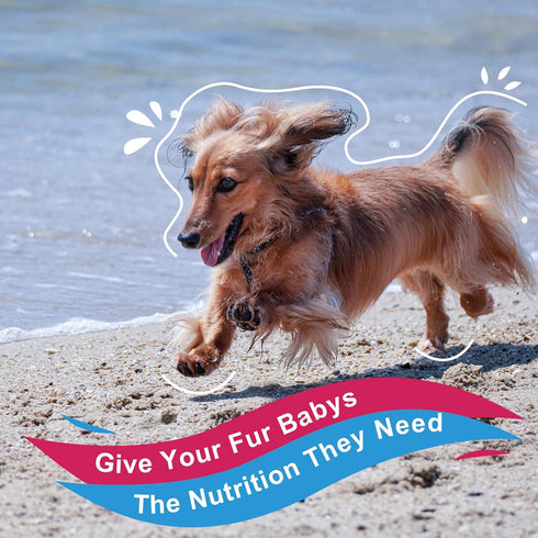 Dog Vitamins Powder, Probiotics & Digestive Enzymes for Gut Health, Glucosamine & Chondroitin & Omega 3, Complete Supplement for Homemade Dog Food...