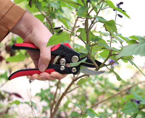 TABOR TOOLS S851A Bypass Hand Pruner with Compound Action, Makes Clean Cuts. Professional Sharp Secateurs, Pruning Shears, Garden Shears, Clippers...