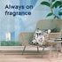 Glade PlugIns Refills Air Freshener Starter Kit, Scented and Essential Oils for Home and Bathroom, Clean Linen, 1.34 Fl Oz, 1 Warmer + 2 Refills...
