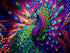 Peacock Stamped Cross Stitch Kits for Adults Beginners, Animals Art DIY Cross Stitch Patterns Kits Printed Dimensions Needlepoint Kits Crafts Embr...