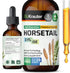 Horsetail Tincture - Organic Horsetail Herb for Hair Growth - Pure Ingredients - Horse Tail Liquid Extract Supplement - Alcohol and Sugar Free Veg...