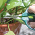 Bonsai Shears with 40mm Durable Stainless Steel Blades, Precise Trimming and Pruning, Garden Scissors Ideal in Flowers and Bonsai Trees...