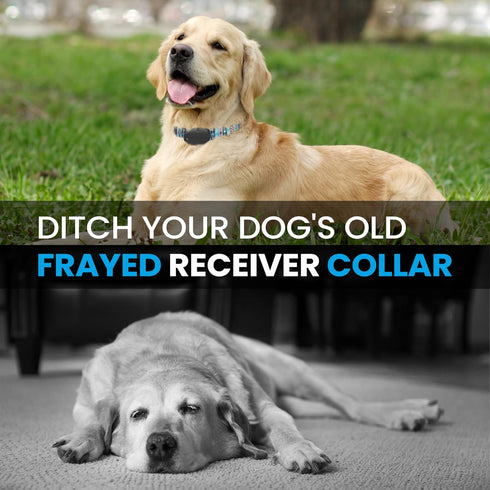 E Collar Replacement Strap - Shock Collar Replacement Collar, Fence Collar Replacement, Compatible with Pet Safe & Invisible Fence & Fits Most Pet...