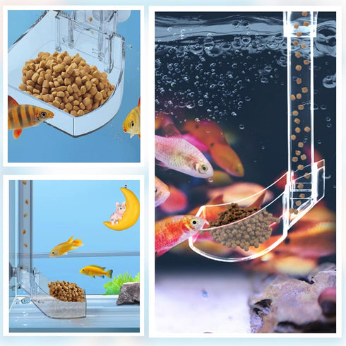 Aquarium Fish Shrimp Feeding Dish Set Clear Fish Feeder Tube and Dish with Cleaning Brush and Measuring Spoon for Feeding Shrimp and Preventing Fo...
