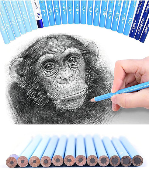 24 Drawing Pencils Set, Art Sketching Pencils Charcoal Set 14B,12B,11B,10B,9B,8B,7B,6B,5B,4B,3B,2B,B,HB,H,2H,3H,4H,5H,6H,& Soft Neutral Hard Charc...