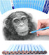 24 Drawing Pencils Set, Art Sketching Pencils Charcoal Set 14B,12B,11B,10B,9B,8B,7B,6B,5B,4B,3B,2B,B,HB,H,2H,3H,4H,5H,6H,& Soft Neutral Hard Charc...