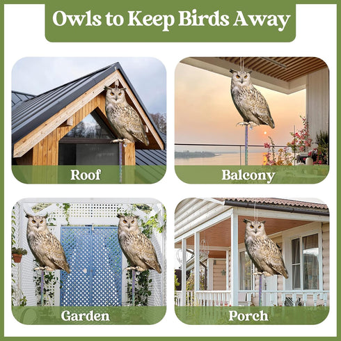 Owls to Keep Birds Away, Bird Scare Devices Cardboard, Owl Bird Scarers, Plastic Owls, Fake Owls with Reflective Tape, Garden Owl, 4PCS Hanging Bi...