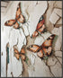 Posterizer-vibrant butterflies on old wall -3-Art for Animal Lovers-Abstract & Modern Art-decor for Girls, Teens Bedroom- unframed wall art...