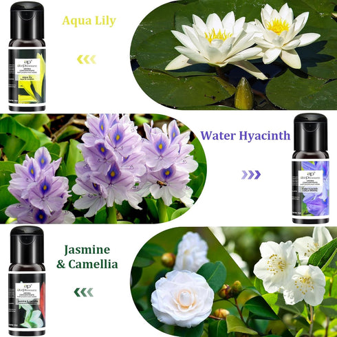 Blossom Essential Oils Set, 6x15ml Aromatherapy Oil Kit for Diffuser, Humidifier, Air Purifier- Aqua Lily, Water Hyacinth, Jasmine & Camellia, Eng...
