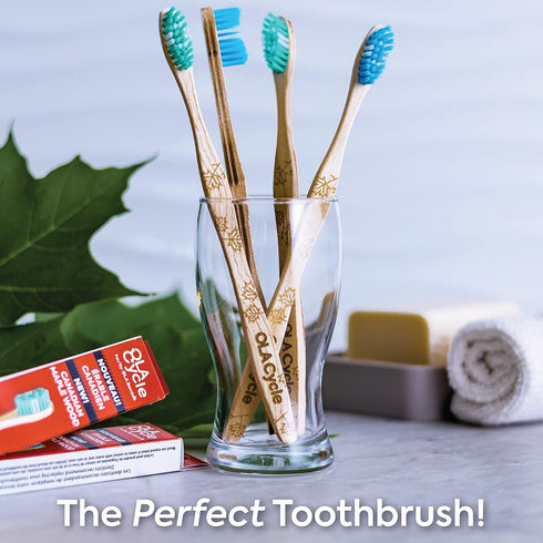 Canadian Maple Toothbrush | Low Impact Bamboo Alternative | Canadian Made from Guitar Factory Scraps | Stays Hygienic & Holds Bristles Better | So...
