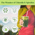 Good Natured Premium Chlorella Spirulina Powder | 85 Servings | Non-GMO | Sunlight Grown | Deep Green Color | Cracked Cell Wall | Alkalyzing | Hig...