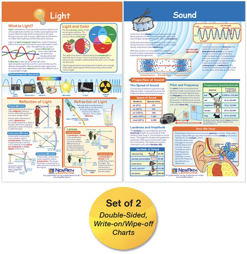 NewPath Learning Light & Sound Bulletin Board Charts, Set/2 - Laminated, Double-Sided, Full-Color, 12" x 18" (94-9005)...
