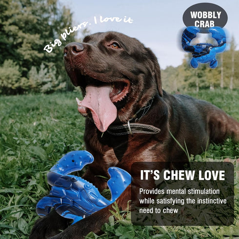Dog Toys for Aggressive Chewers,Nylon Crab Durable Dog Toy for Medium Large Dogs, Bacon Flavor Interactive Dog Toys for Boredom,Blue...