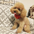 8pcs Flower Dog Collar Charms, Mulit Color Rhinestone Dog Collar Bow Ties for Puppy Cat Dog Grooming Accessories...