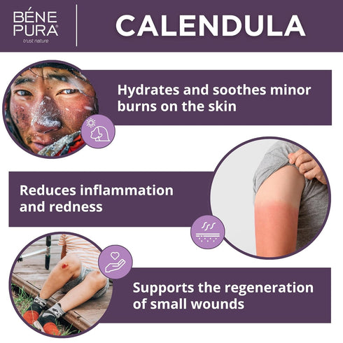 BenePura Calendula Ointment - Natural Calendula Cream for Burns, Cuts, Scrapes and Wounds - Calendula Salve for Dry Skin - Burn Cream, Burn Ointme...