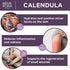 BenePura Calendula Ointment - Natural Calendula Cream for Burns, Cuts, Scrapes and Wounds - Calendula Salve for Dry Skin - Burn Cream, Burn Ointme...