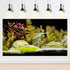 Aquarium Background Planted Tropical Freshwater Terrarium Background Various Aquatic Plants Aquarium Backdrop Big Stones with Moss Fish Tank Backg...