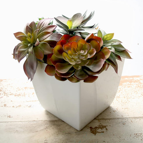The HC Companies 8 Inch Aria Square Self Watering Planter - Plastic Plant Pot for Indoor Outdoor Plants Flowers Herbs, Glossy White...