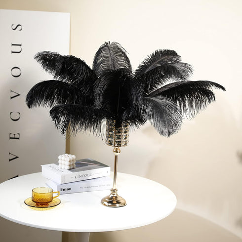 Larryhot Black Ostrich Feathers Bulk - 16-18 inch 10pcs Feathers for Vase,Wedding Party Centerpieces and Home Decorations (Black)...