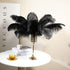 Larryhot Black Ostrich Feathers Bulk - 16-18 inch 10pcs Feathers for Vase,Wedding Party Centerpieces and Home Decorations (Black)...