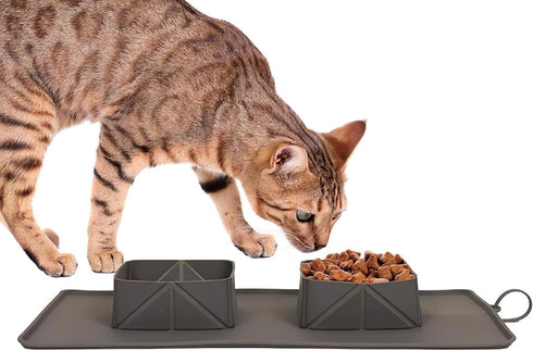 Generic Portable Pet Feeder, Silicone Bowls for Dog and Cat Travel, Collapsible Dish for Food and Water, 2-in-1 Solution with Adjustable Bow Ties...