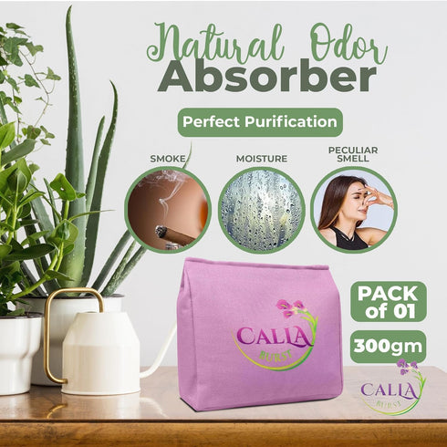 Activated Charcoal Odor Absorber Bags - Natural Air Purifying Bags for Home & Car, Closet Freshness, Smoke & Pet Odor Neutralizer, Moisture & Must...