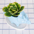 VanEnjoy Desktop Cute Cartoon Blue Triceratops Dinosaur Ceramic Succulent Pot with Tray, Bonsai Cactus Flower Pot Vase Holder Decorative Organizer...
