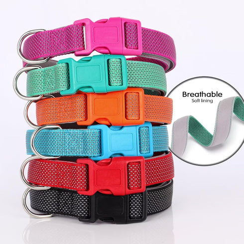 Didog Reflective Dog Collar with Buckle, Adjustable Soft Neoprene Padded Nylon Pet Collars for Small Medium Large Dogs, Red, S...