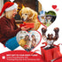 Dog Toys for Aggressive Chewers, Indestructible Dog Toys, Dog Toys for Large Dogs, Almost Indestructible Dog Bones for Small/Medium/Large Dogs, Do...