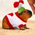 10 Pcs Guinea Pig Stuff Includes 5 Cute Mini Hats Cozy Hand Knitted Hat with Adjustable Strap and 5 Guinea Pig Clothes Small Animal Vest Sweater f...