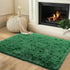 Small Rugs for Bedroom, 2x3 Fluffy Bedroom Rug, Soft Fuzzy Area Rug for Living Room Dorm, Non Slip Shag Rugs for Girls Boys Bedroom, Soft Kids Car...