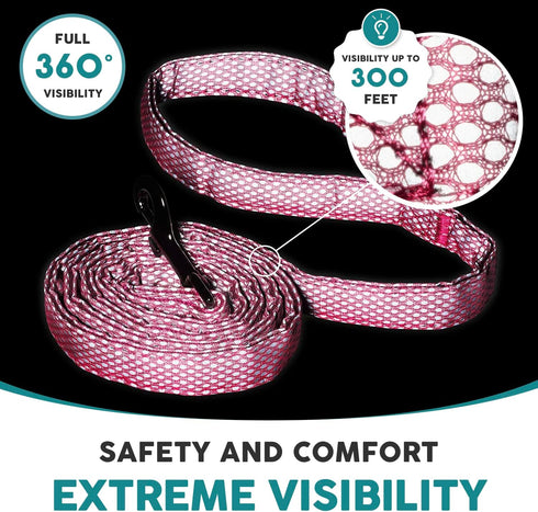 Embark Illuminate Reflective Dog Leash for Night Walking - 5 Ft Long and 3/4 Inch Width Dog Leash for Large Dogs, Made with Reflective Leash Mater...