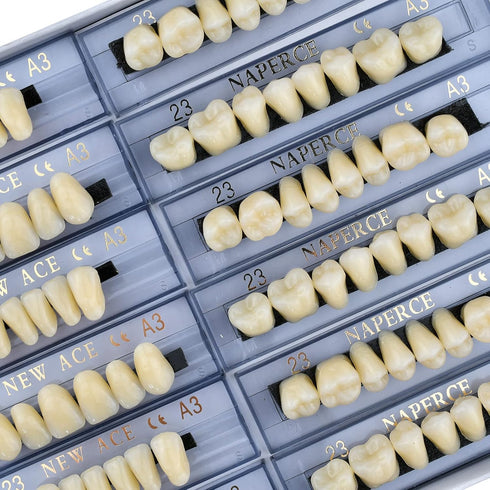 168 Pcs Dental Synthetic Resin Tooth Denture 3 Sets False Teeth 23 A3 Upper Lower Shade Dental for Halloween Horror Teeth...