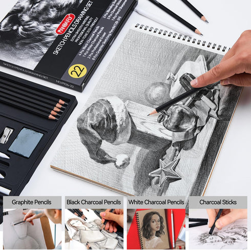 PANDAFLY Drawing Sketching Pencil Set, 22 Piece Pro Art Pencil Kit - Graphite Pencils (12B-2H), Black and White Charcoal Pencils, Charcoal Sticks,...