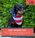 Dog Bandanas, Pet Bandanas for Dogs - Puppy Bandana, Reversible Scarf, Soft & Breathable, Dog Scarf for Medium & Large Dogs...