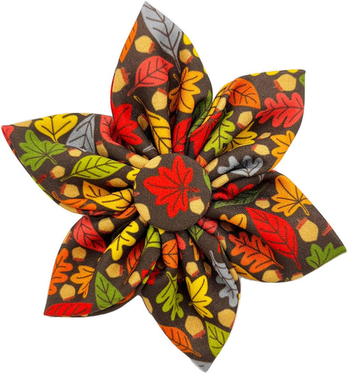 Huxley & Kent Pet Pinwheel | Leaves & Nuts (Large) | Fall Collar Accessory for Dogs/Cats | Bow Collar Attachment | Cute, Comfortable Accessory | H...