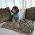 MACEVIA Fluffy Fleece Dog Blankets, Warm Soft Fuzzy Pets Blankets for Puppy, Small, Medium, Large Dogs and Cats, Plush Pet Throws for Bed, Couch, ...