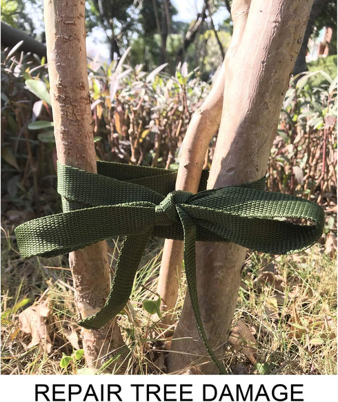 80 Feet Tree Tie Strap 1 Inch Tree Support Ties Green Staking and Guying Material Plant Tie Garden Tie Green Tree Tie Rope for Outdoor Use, Straig...