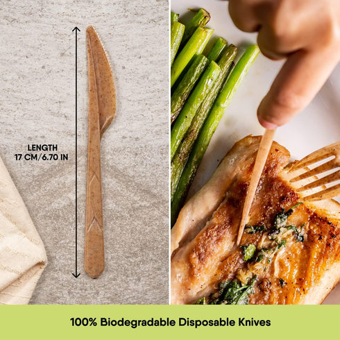 100% Biodegradable Knives Made of Vegetable Fibers, 100 PCS of 6.7” Long Heavy-Duty and Splinter Free Eco-Friendly Knives, Perfect Sustainable Cut...